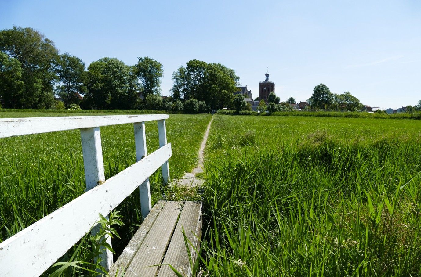 Een wit hek en een pad leiden door hoog groen gras naar een dorp met een kerk op een zonnige dag.