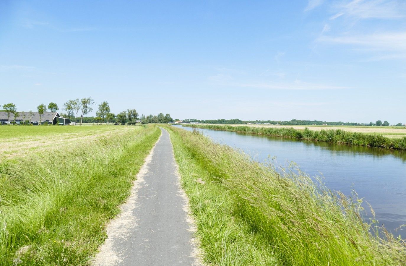 Een verhard pad tussen een kanaal en een veld met hoog gras onder een helderblauwe hemel.
