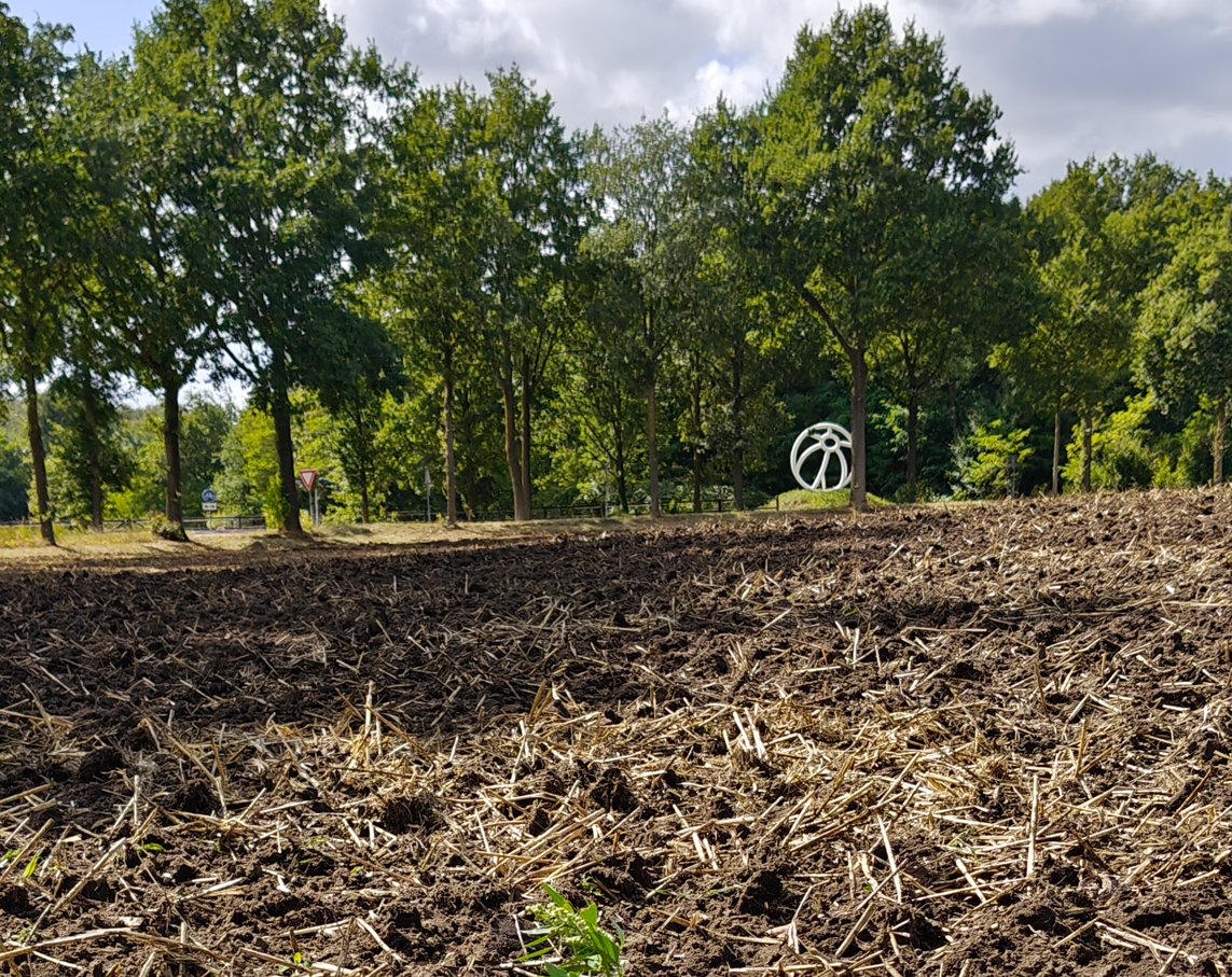 Een geploegd veld met een rij bomen en in de verte een wit, rond bord onder een heldere hemel.