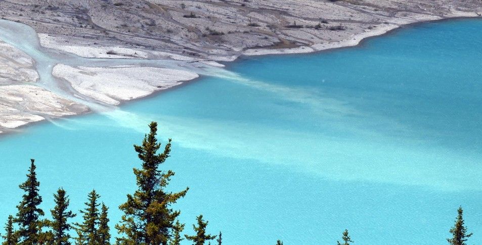 Een turquoise meer met een rivier die erin uitmondt, omgeven door groenblijvende bomen en een rotsachtige oever.