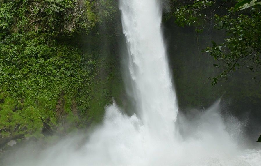 Een waterval die in een schuimend bassin stort; weelderige groene vegetatie aan de zijkanten.