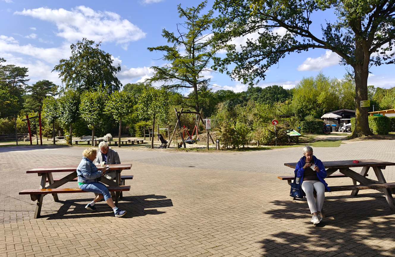 Zonnig park met mensen die aan picknicktafels zitten op een geplaveid plein onder de bomen.