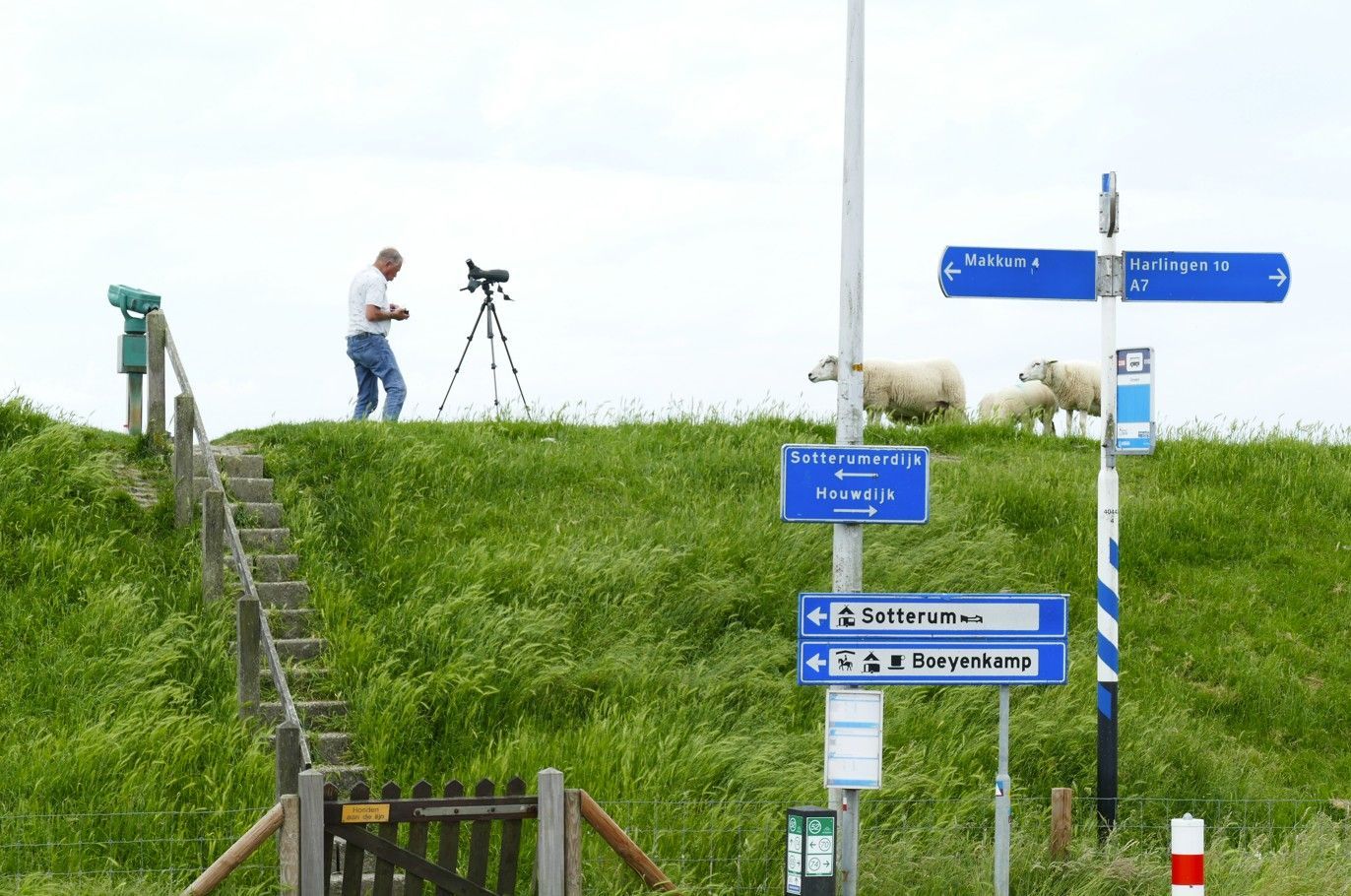 Man met statief en telescoop op een grasheuvel met schapen en verkeersborden.