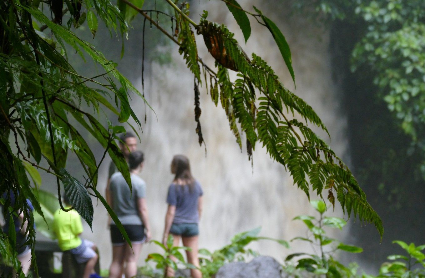 Mensen bij een waterval, gezien door het groene gebladerte. Wazige figuren in een weelderige, groene omgeving.