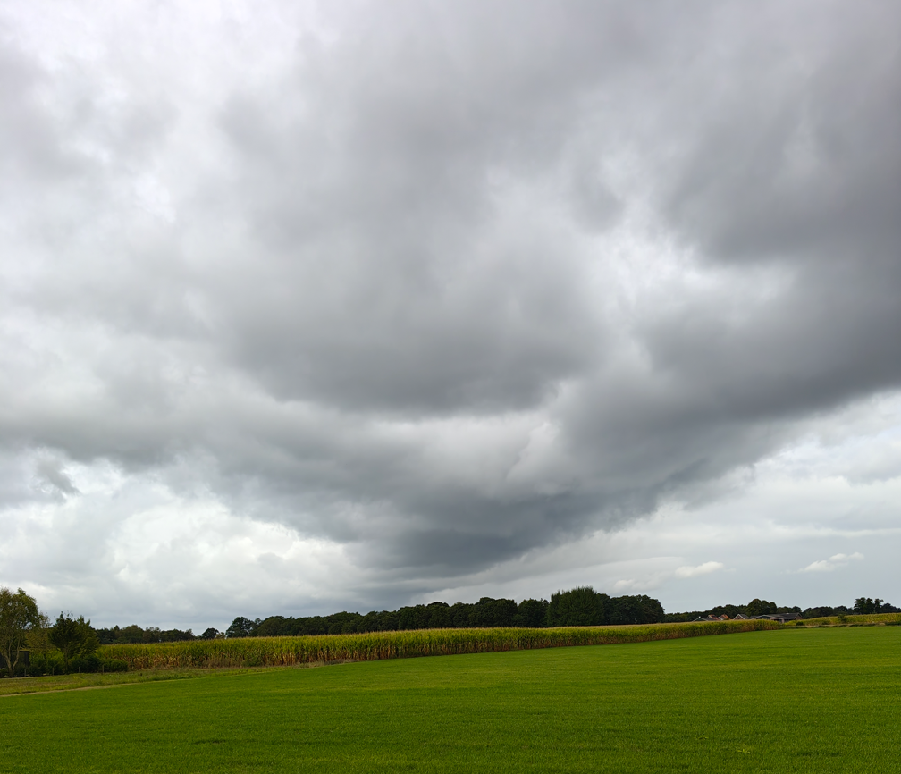 Bewolkte lucht boven een groen veld met in de verte een rij bomen.