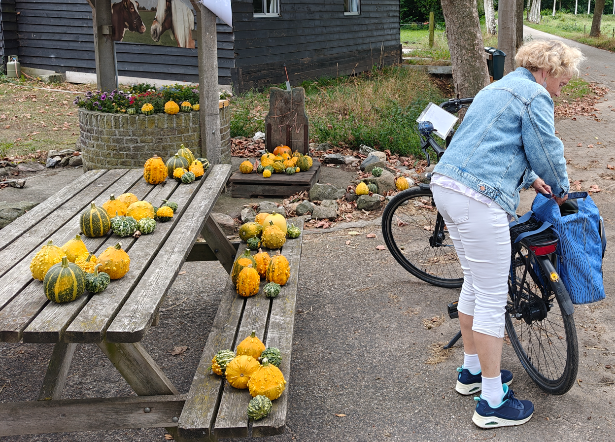 Persoon met fiets naast picknicktafels bedekt met pompoenen bij een openluchtboerderijkraam.