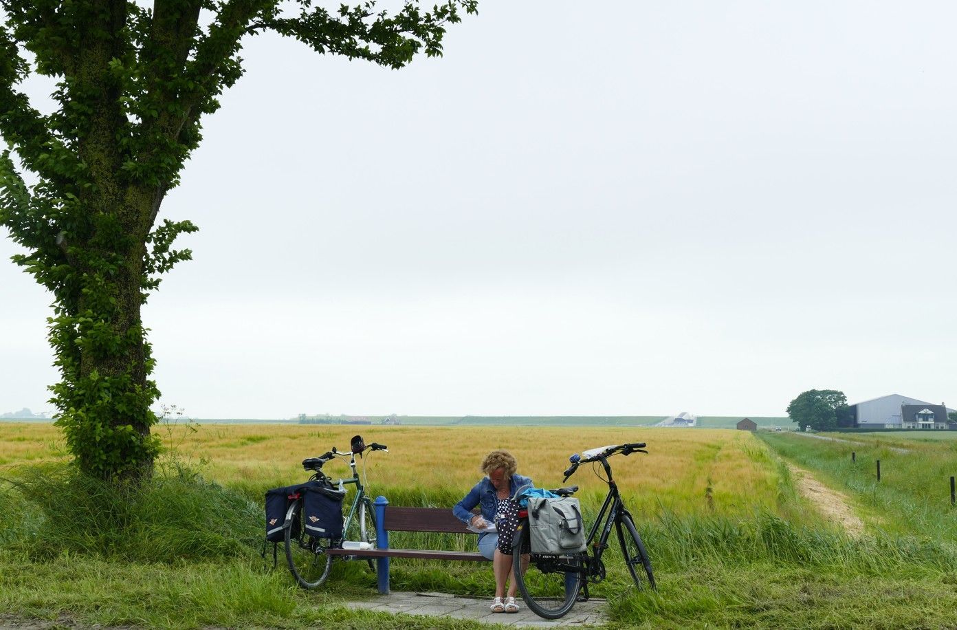 Een persoon rust uit op een bankje met twee fietsen, onder een boom, naast een veld. Bewolkte lucht.