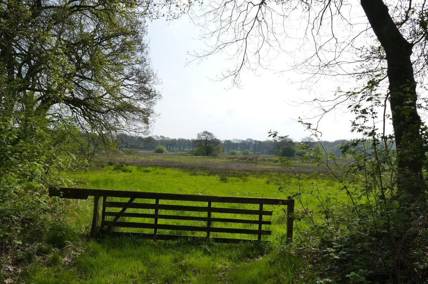 Een houten poort geeft toegang tot een groene weide, omlijst door bomen onder een heldere hemel.
