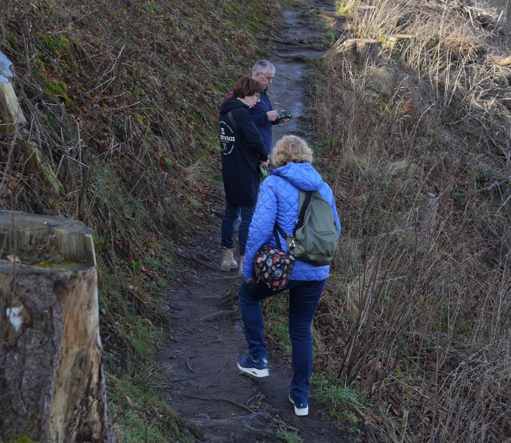 Drie mensen lopen over een smal, onverhard wandelpad door een bosrijk gebied.