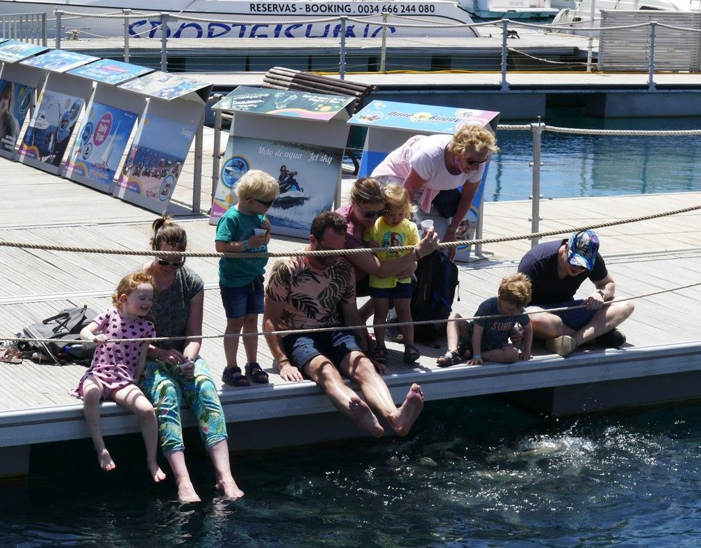 Mensen kijken vanaf een steiger naar iets in het water. Kinderen zitten bij hun ouders, sommigen kijken naar beneden. 