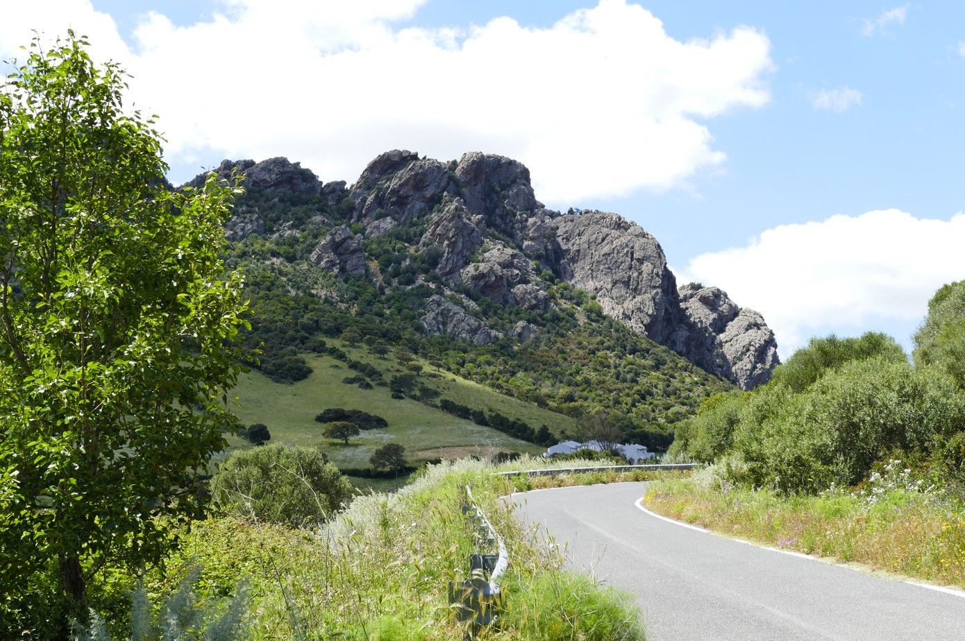 Een kronkelende weg door een landschap met een rotsachtig berglandschap op de achtergrond en groene vegetatie onder een gedeeltelijk bewolkte hemel.