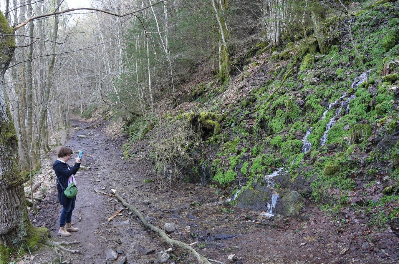 Een persoon staat op een bebost wandelpad om een ​​foto te maken van water dat langs een met mos begroeide rotswand  sijpelt.
