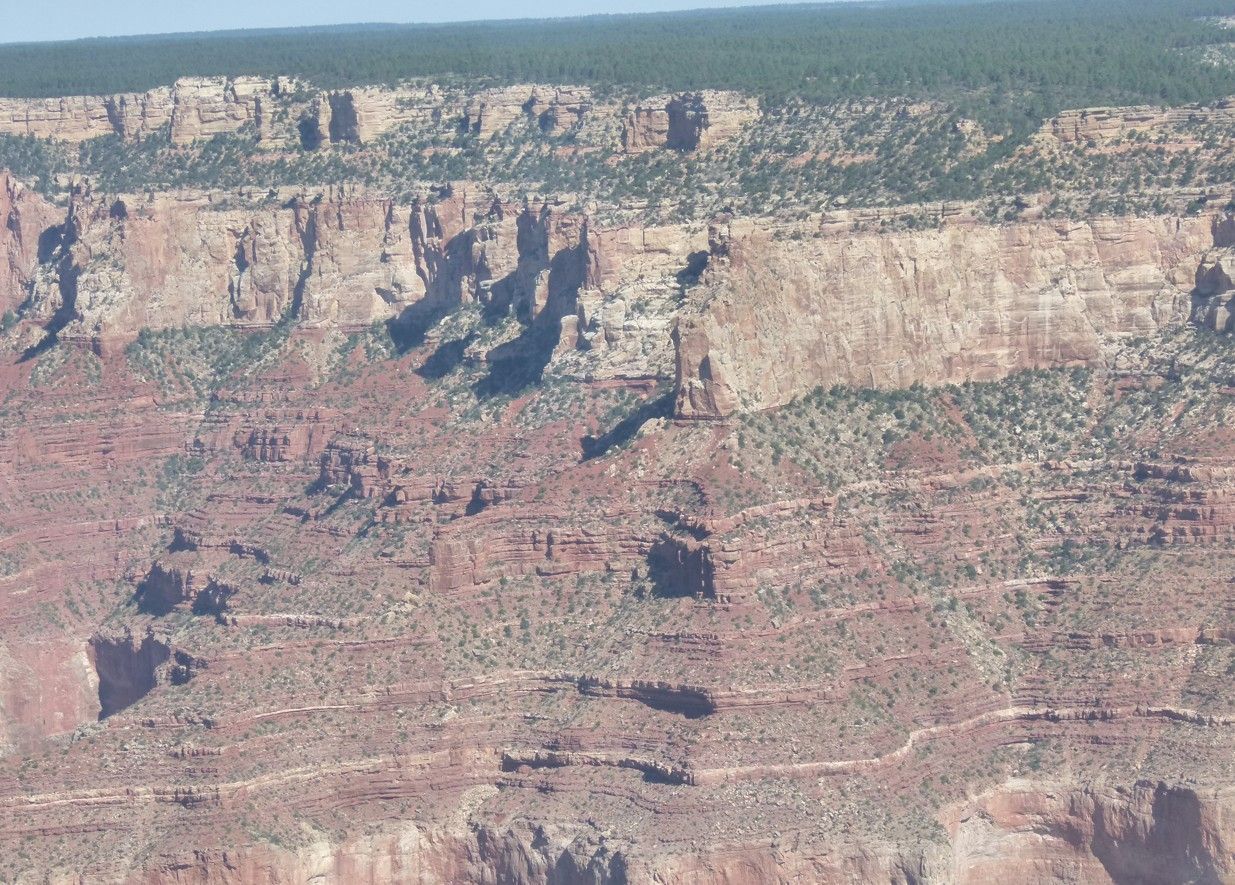 Het landschap van de Grand Canyon met gelaagde rode rotswanden en groene vegetatie.