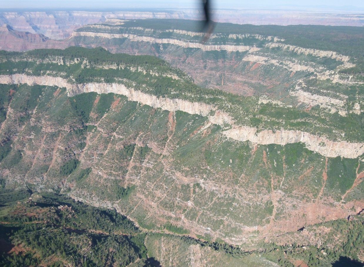 Luchtfoto van een kloof met gelaagde rotsformaties en groene vegetatie.