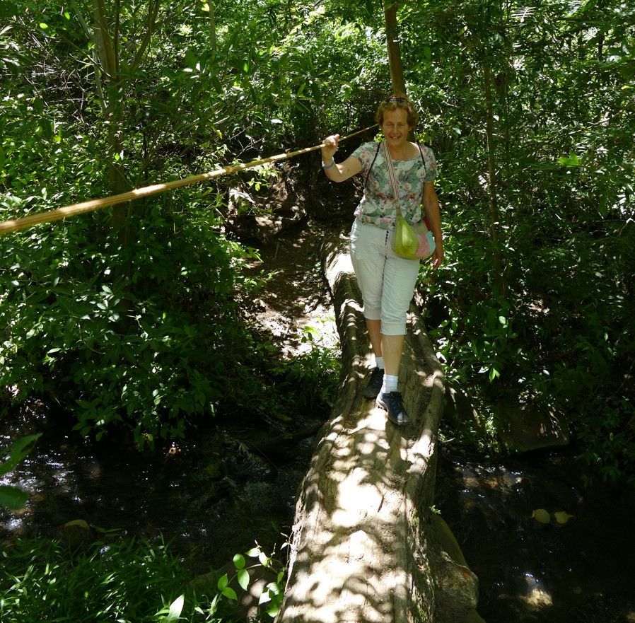 Een vrouw balanceert op een boomstam boven het water, met behulp van een bamboestok als steun, in een bosrijk gebied.
