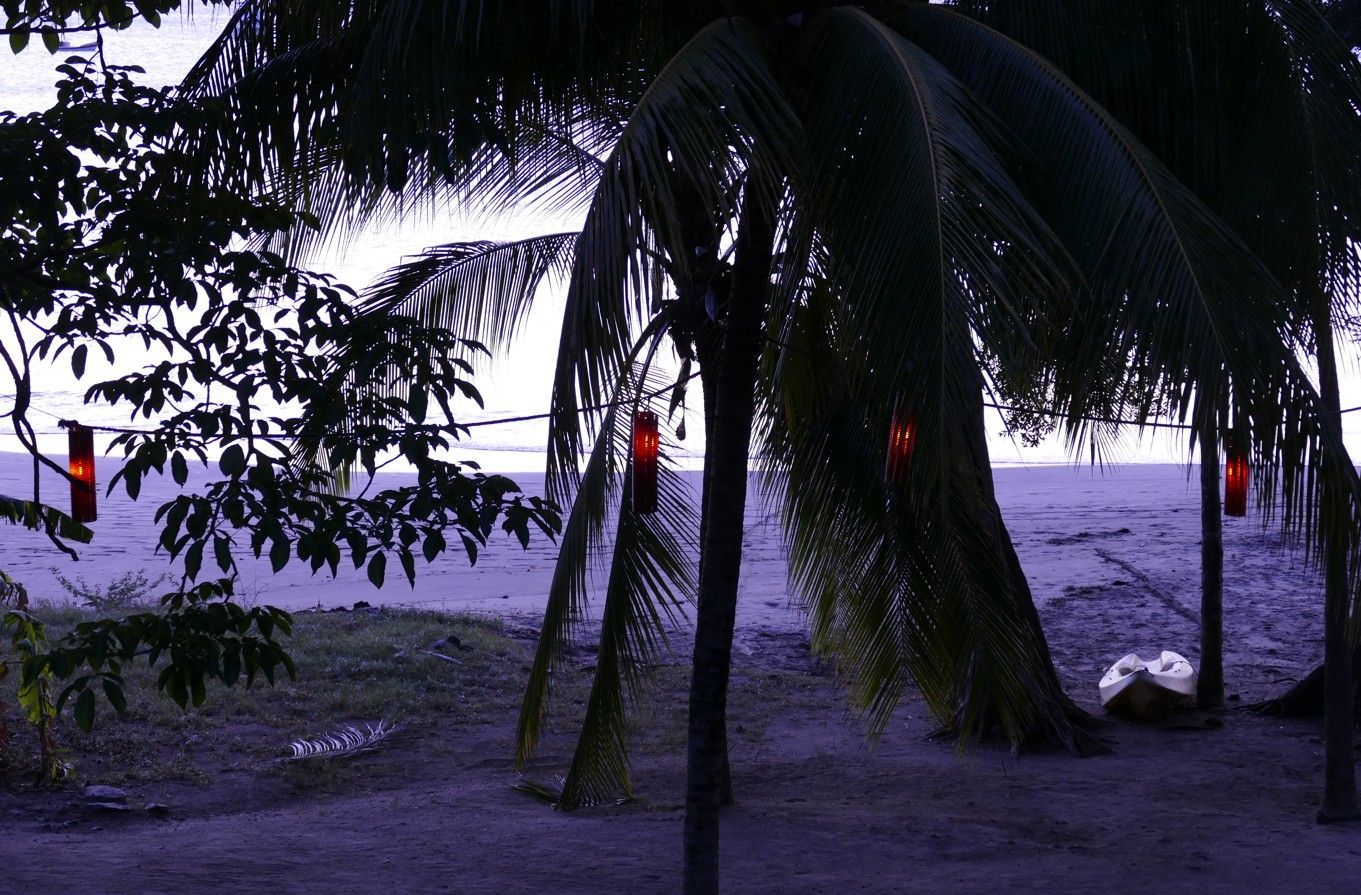 Palmbomen steken af ​​tegen een strand in de schemering; rode lantaarns hangen in de bomen.