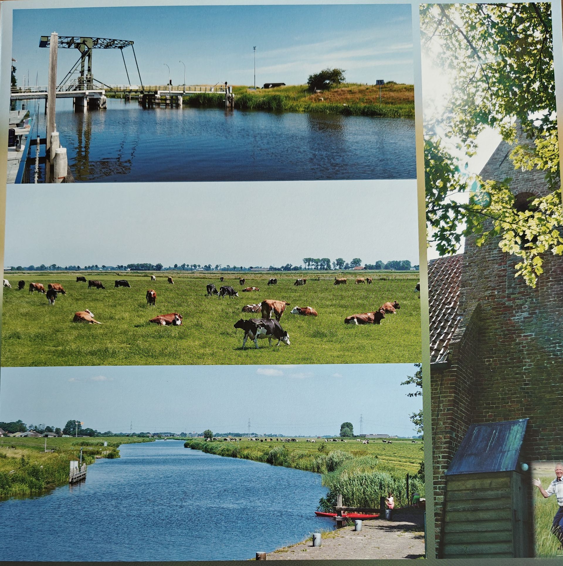 Een compositie van drie landschapsfoto's: een kanaal met een brug, koeien in een weiland en een rivierlandschap.