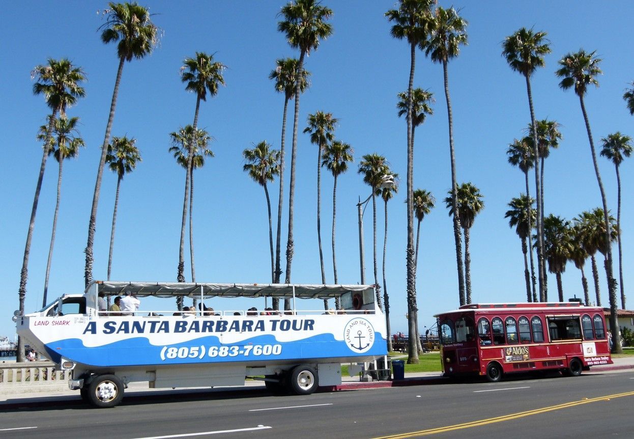 Twee touringcars uit Santa Barbara staan ​​geparkeerd in een straat met palmbomen tegen een blauwe hemel.