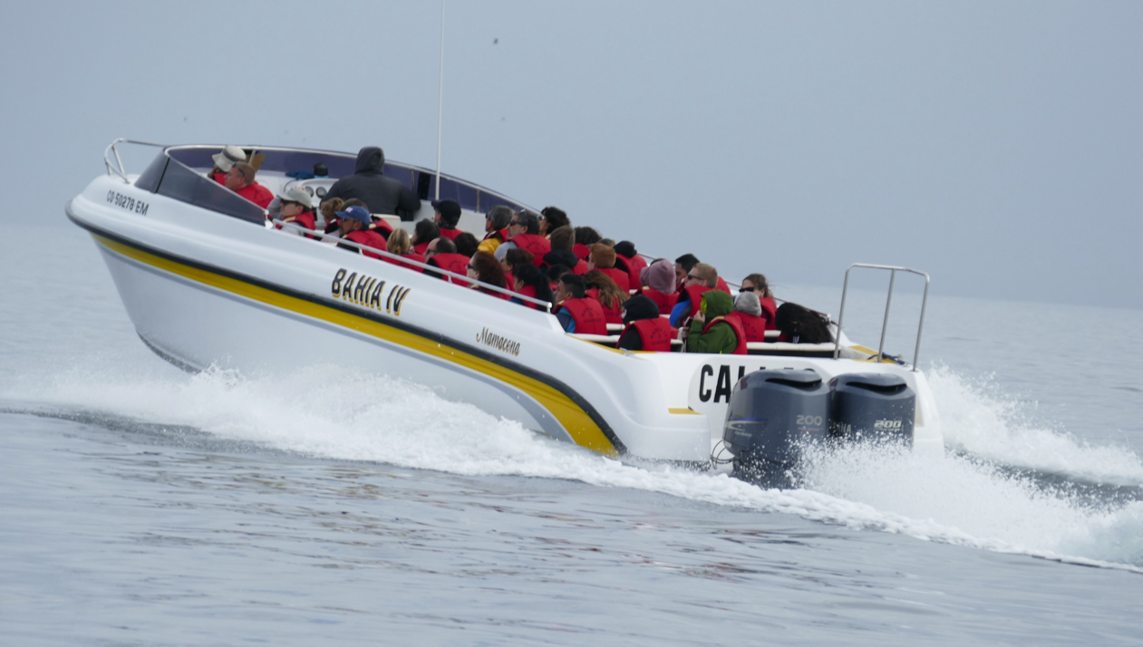 Een wit-gele motorboot met een groep mensen aan boord vaart over het water.