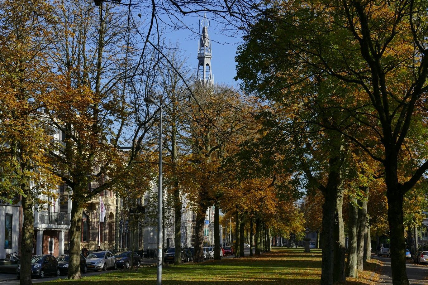 Een met bomen omzoomde straat met herfstbladeren en een kerktoren in de verte.