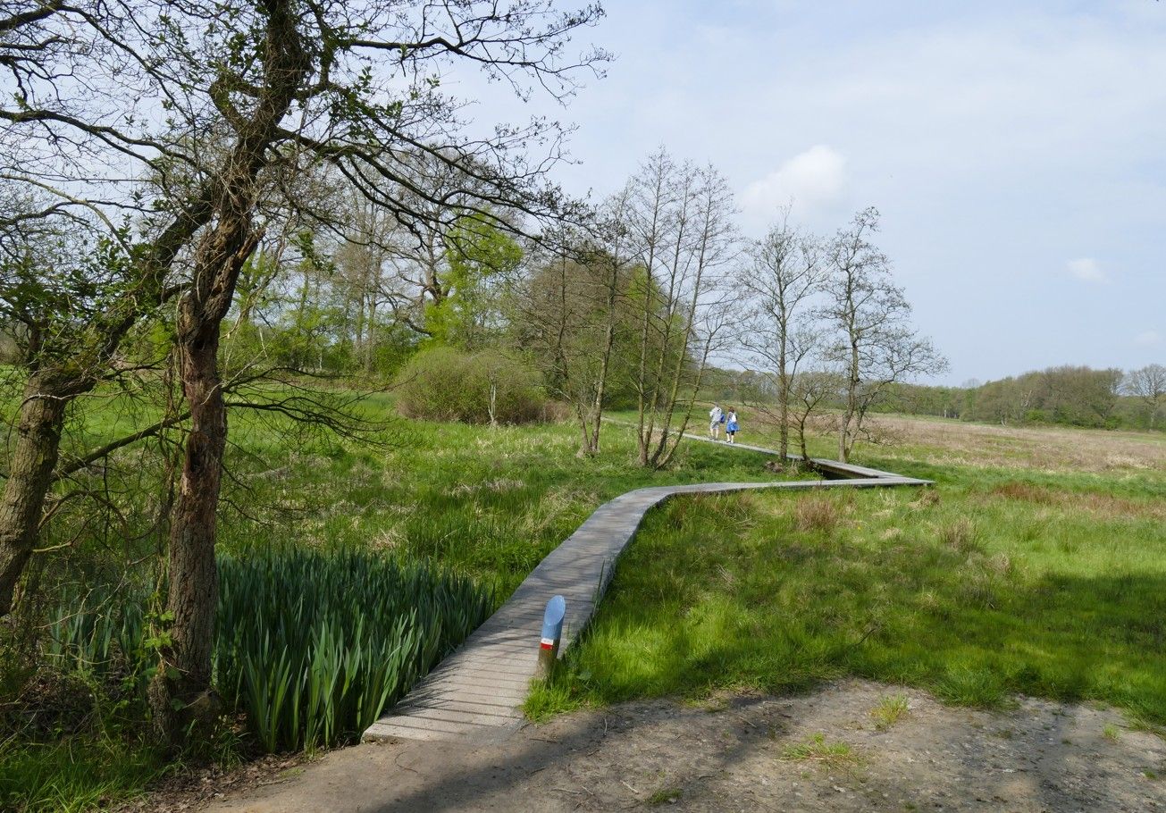 Een houten pad slingert door een grasveld, met bomen aan de linkerkant en een blauwe lucht.