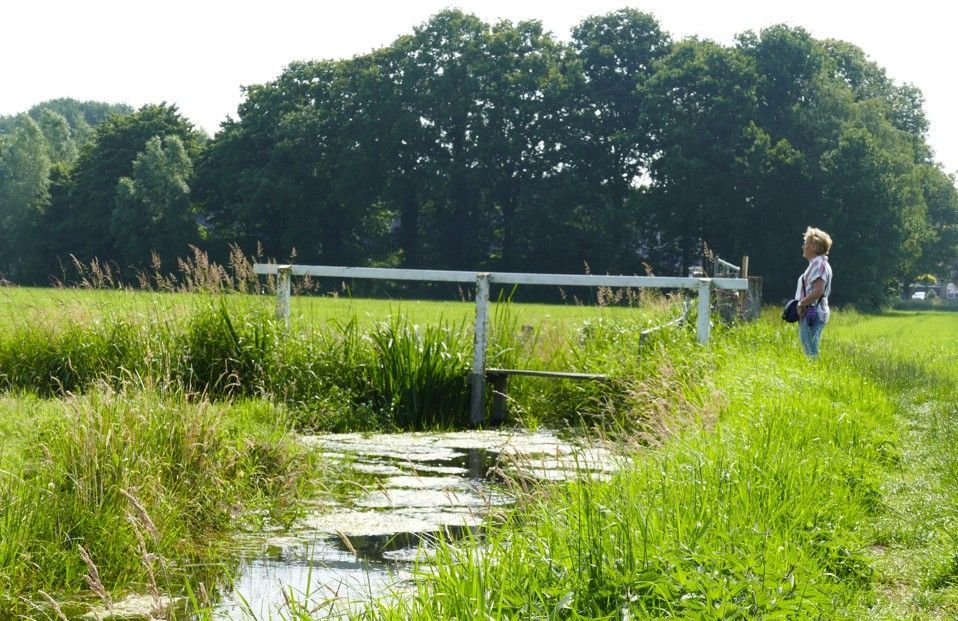 Een vrouw staat bij een wit hek en een kleine brug over het water, omringd door groen gras en bomen.