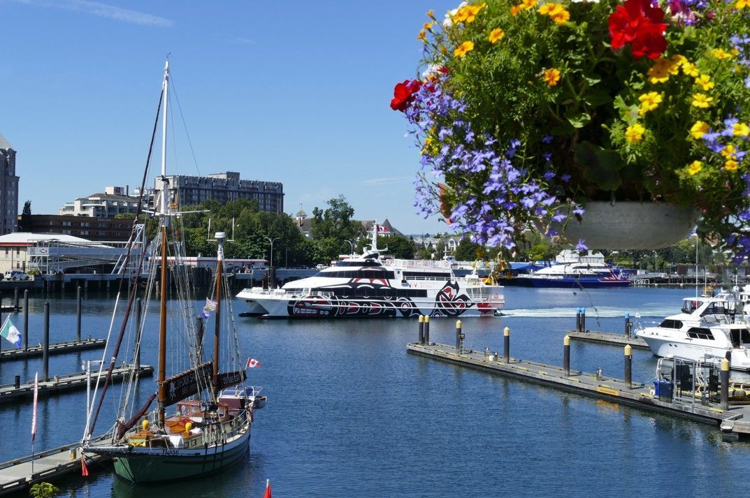 Haventafereel: zeilboten, boten en steigers in het blauwe water onder een zonnige hemel, met een hangende bloemenmand.