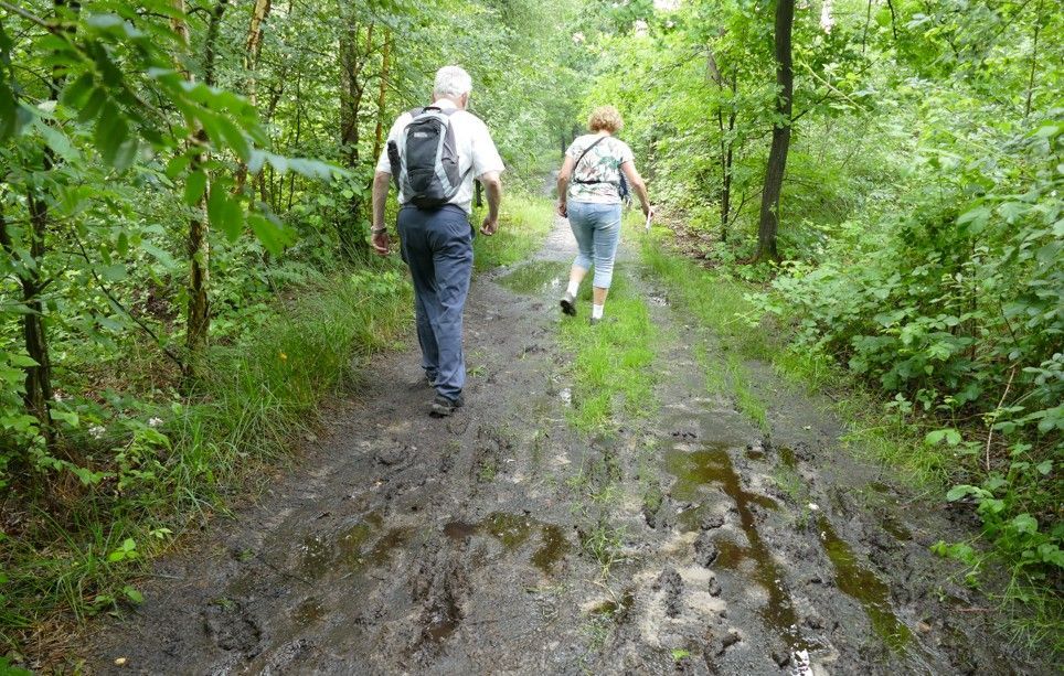 Twee mensen lopen over een modderig bospad, omgeven door groen gebladerte.