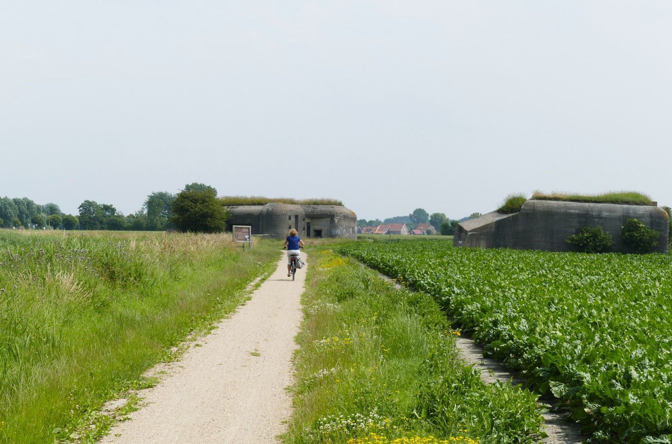 Een persoon fietst over een pad door een veld en nadert lage betonnen gebouwen onder een heldere hemel.