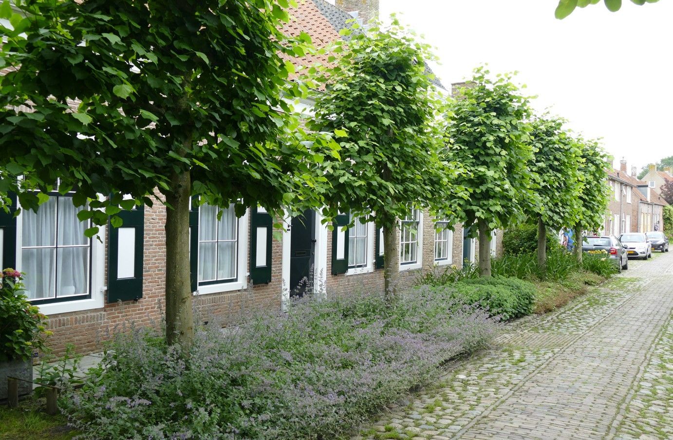 Een rij bomen langs een bakstenen straat met oude huizen en lavendelstruiken.