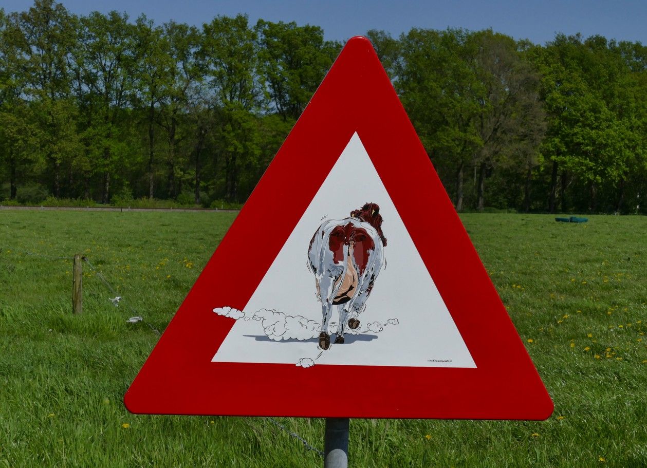 Waarschuwingsbord: Rode driehoek met wit middenstuk, die de achterkant van een koe voorstelt. Groene veldachtergrond.