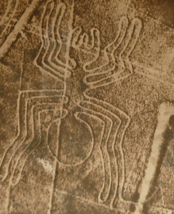 Geoglief van een spin in de Nazca-lijnen in Peru, bestaande uit lijnen die in het woestijnoppervlak zijn gegraveerd.