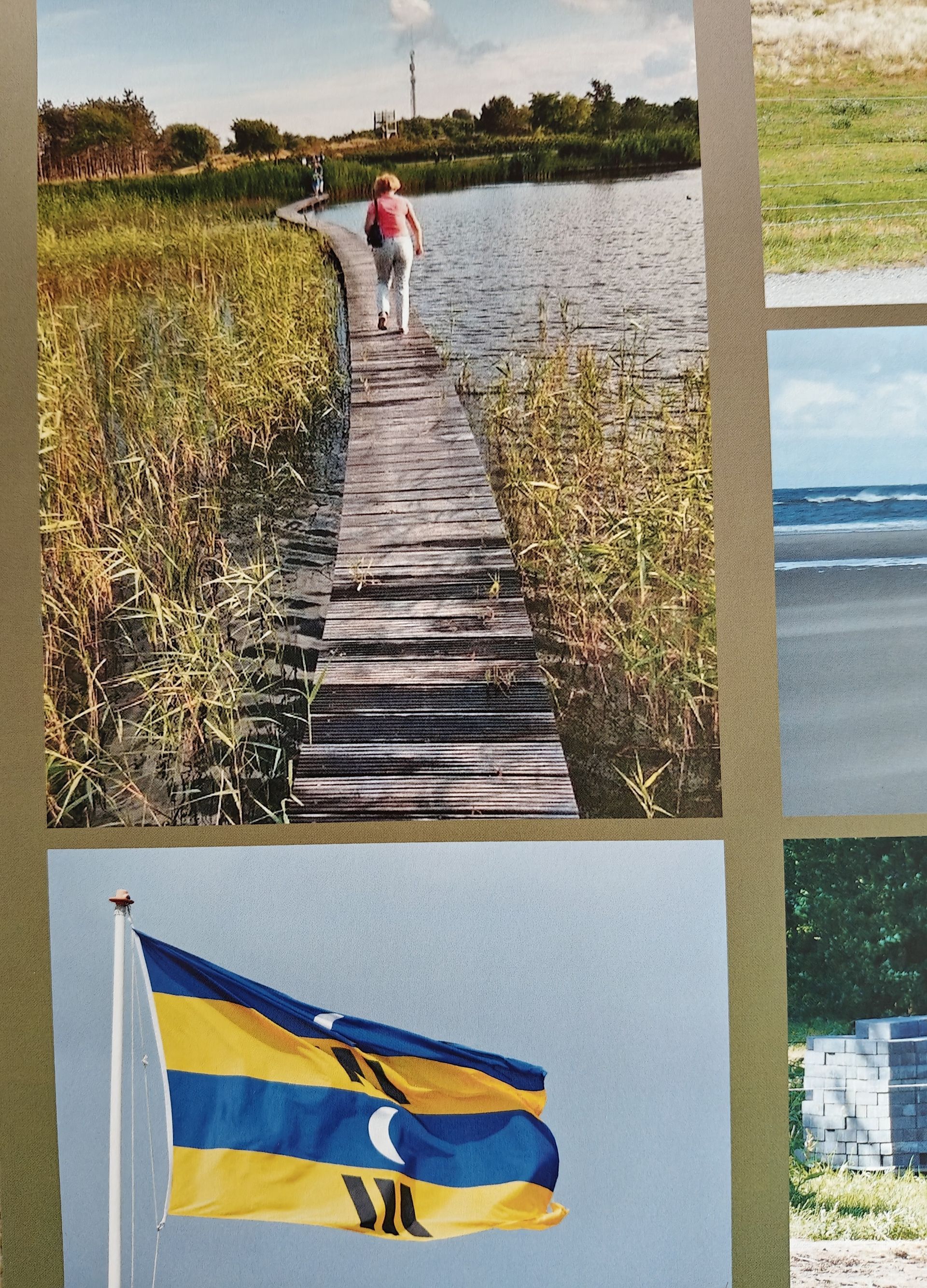 Vrouw loopt over een houten vlonderpad langs het water. Aan weerszijden staan ​​hoge rietstengels.