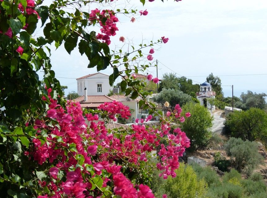 Roze bougainvillea bloesems omlijsten het uitzicht op een wit gebouw en een klein kerkje met een blauwe koepel op een heuvel.