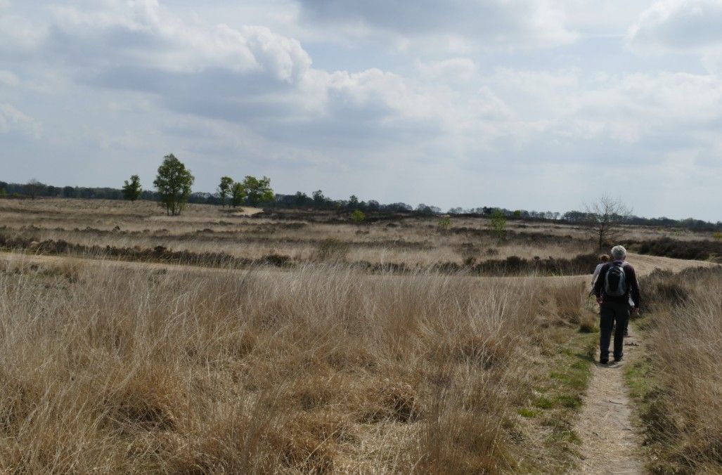 Een persoon loopt over een pad door een grasveld onder een bewolkte hemel.