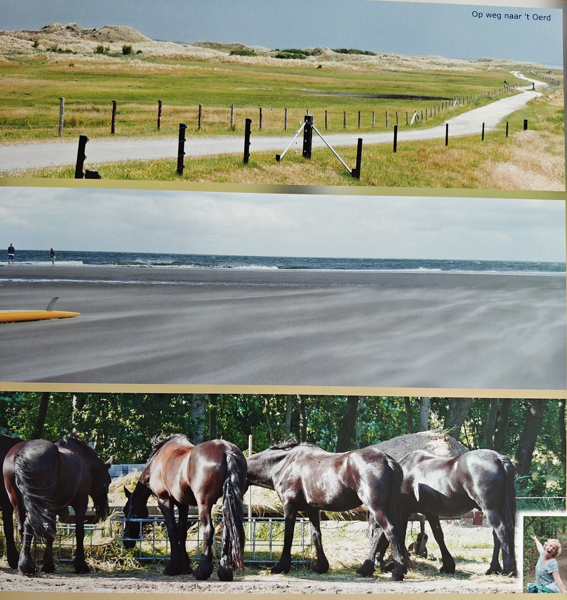 Drie horizontale foto's: een pad langs een duin, de oceaan met wind, paarden bij een hek en een persoon die wijst.