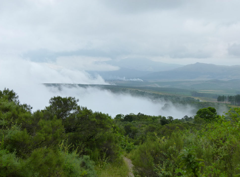Uitzicht op een laaghangende mist die een beboste vallei bedekt, met in de verte heuvels onder een bewolkte hemel.