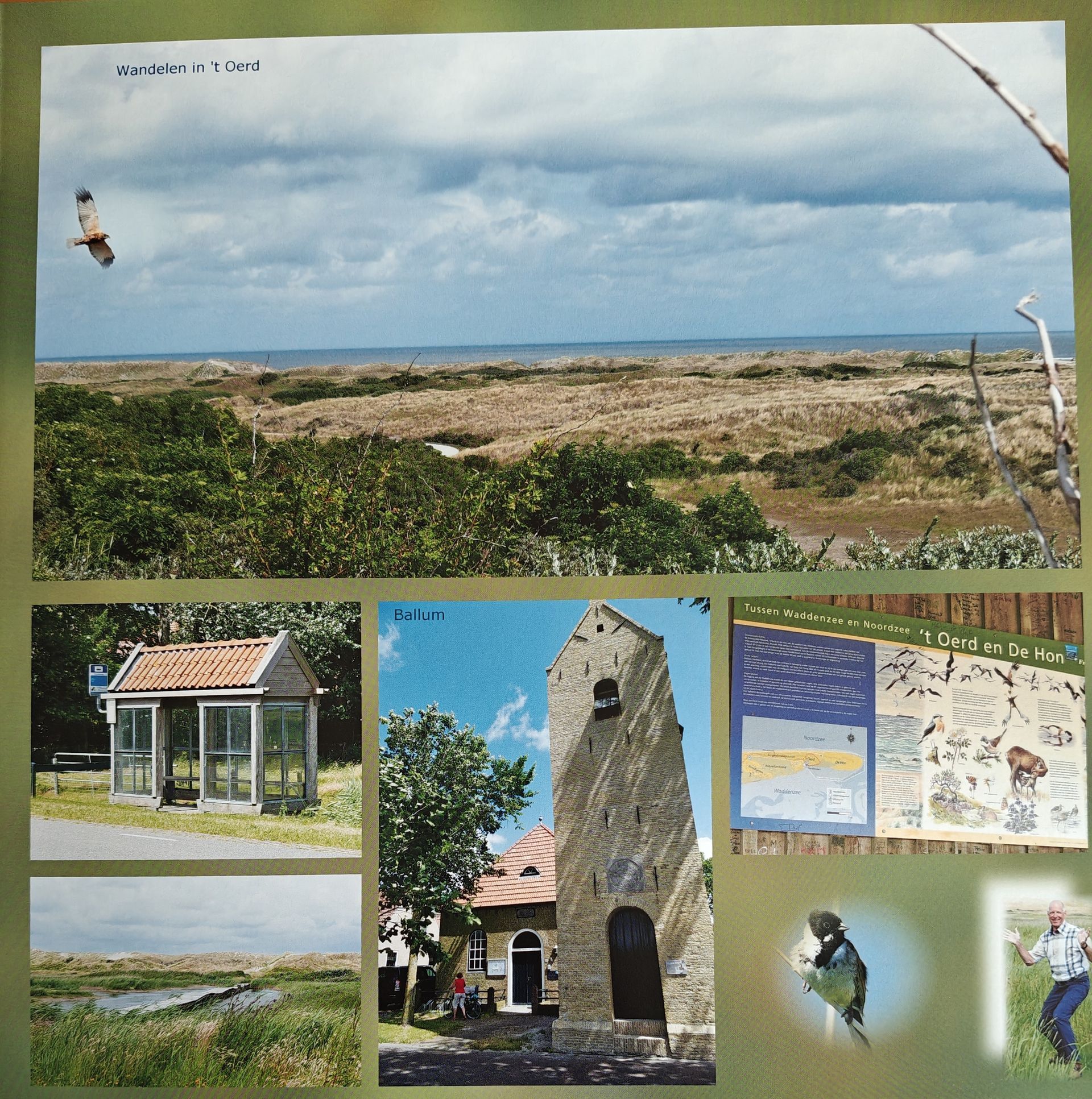Collage: landschap, kerktoren, vogelgids, vogel, klein gebouw, moeras en persoon, onder een bewolkte hemel.