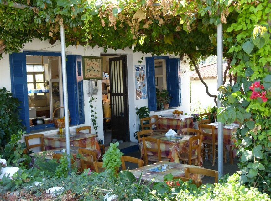 Een klein restaurantje in de openlucht met tafels en stoelen onder een met wijnranken begroeide pergola en blauwe luiken.