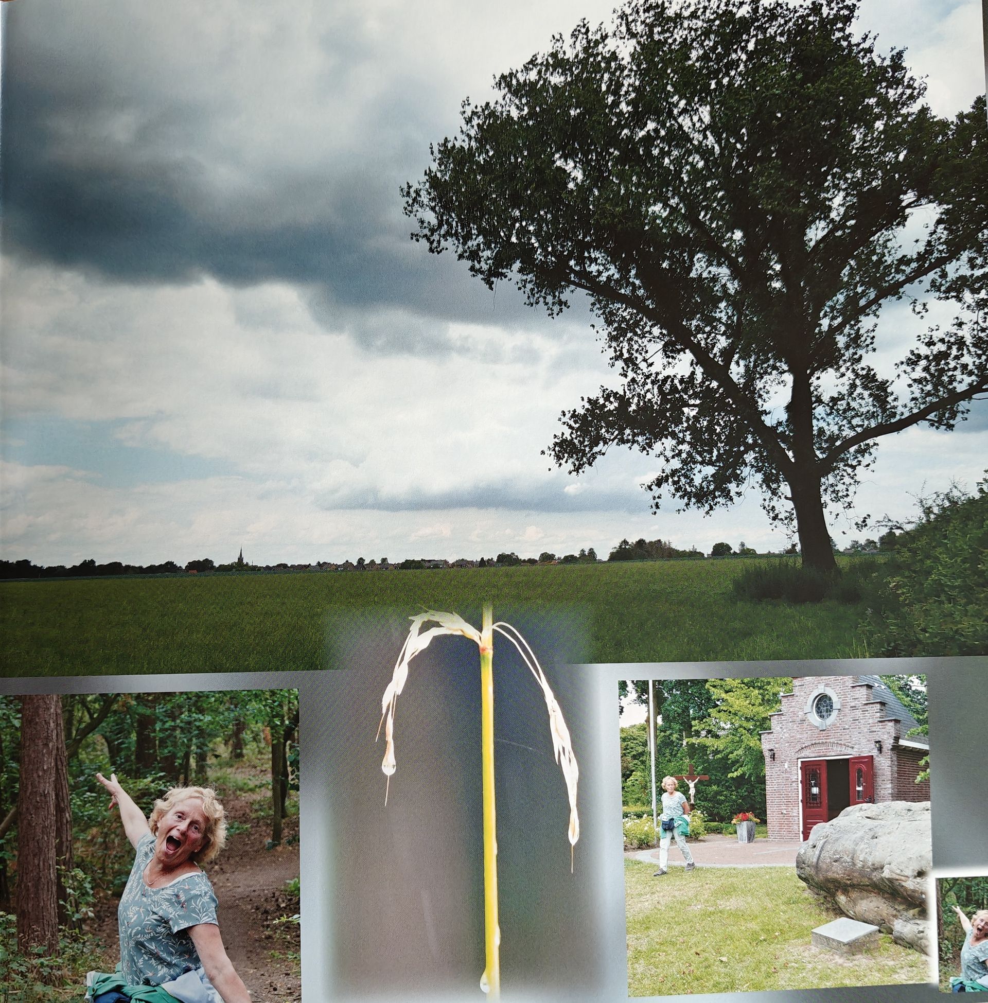 Samengestelde foto: een landschap met een grote boom, een waterfontein en twee kleine foto's van een persoon.