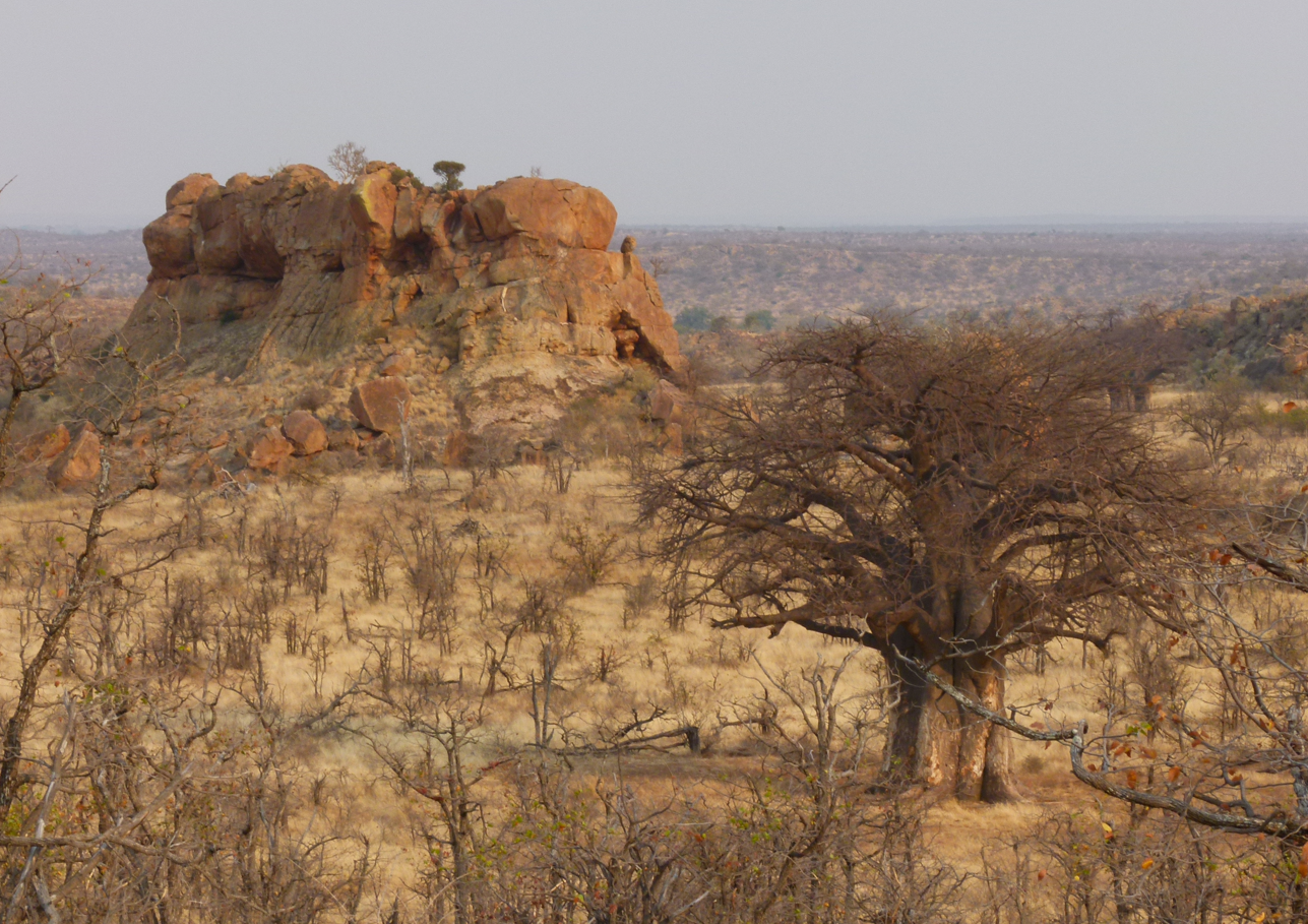 Rotsformatie en baobabboom in een dor savannelandschap.
