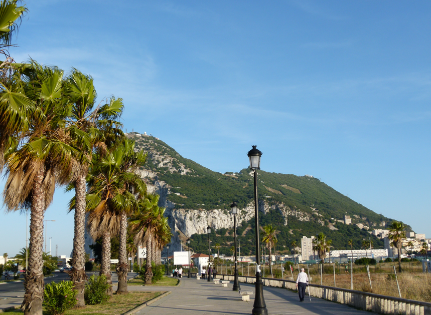 Palmbomen staan ​​langs een wandelpad met de Rots van Gibraltar op de achtergrond onder een blauwe hemel.