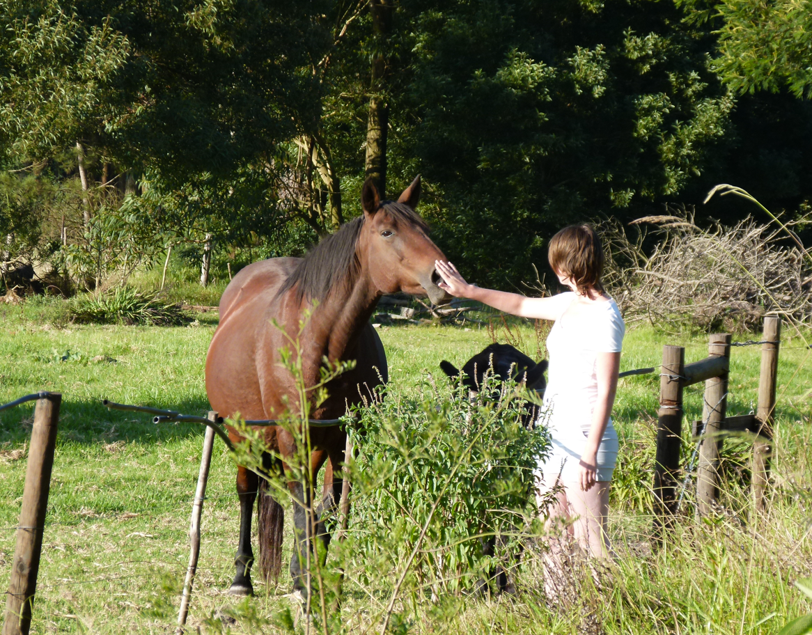 Een vrouw aait een bruin paard in een grasveld, vlakbij een hek en bomen.