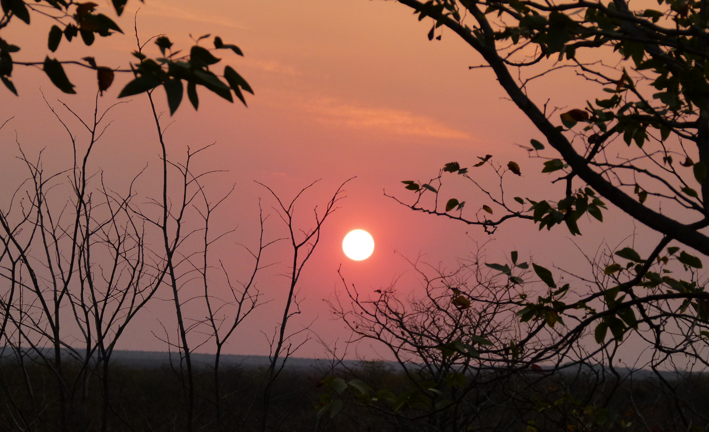 Zonsondergang boven een veld, omlijst door silhouetten van kale takken en bladeren. Een vurige rode en oranje hemel.