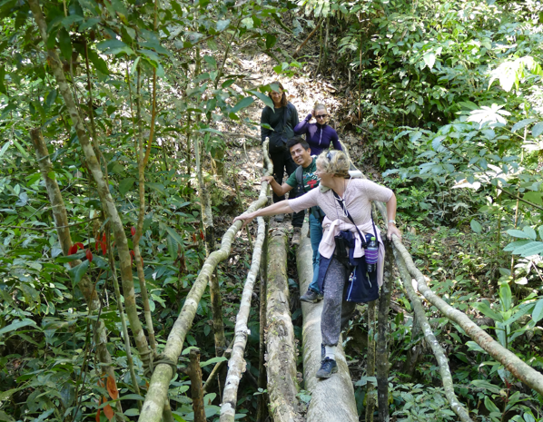 Mensen lopen over een houten brug in een weelderig groen bos.