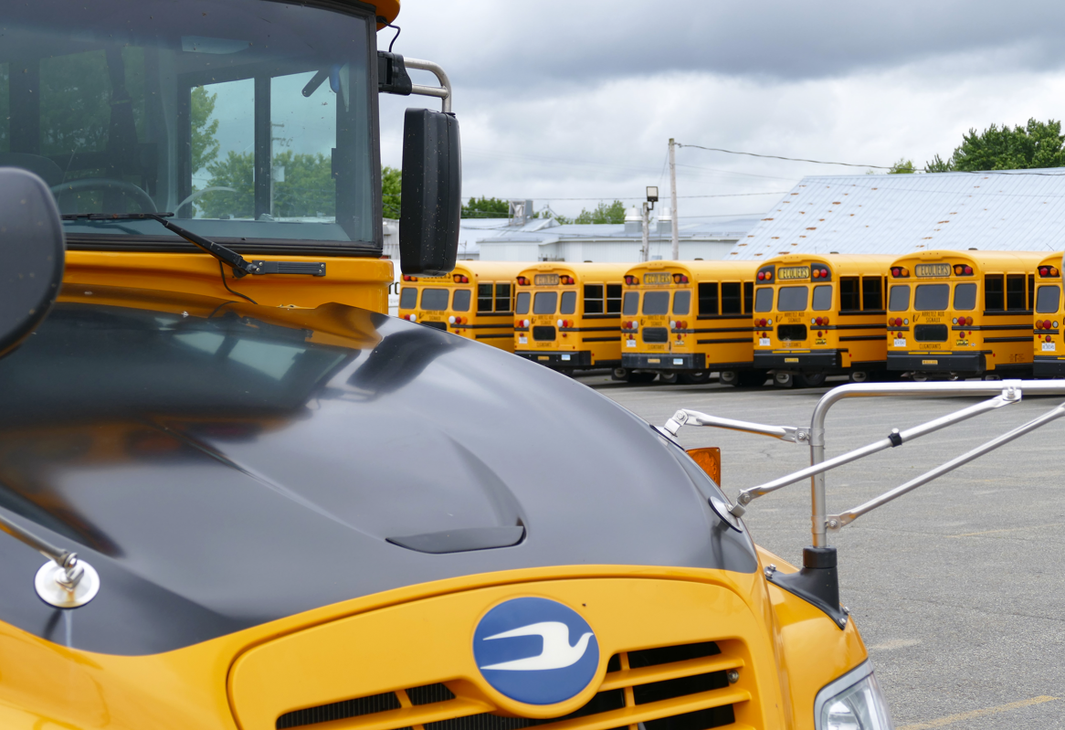 Gele schoolbussen geparkeerd op een terrein; één bus van dichtbij met zwarte kap en blauw logo. Bewolkte lucht.
