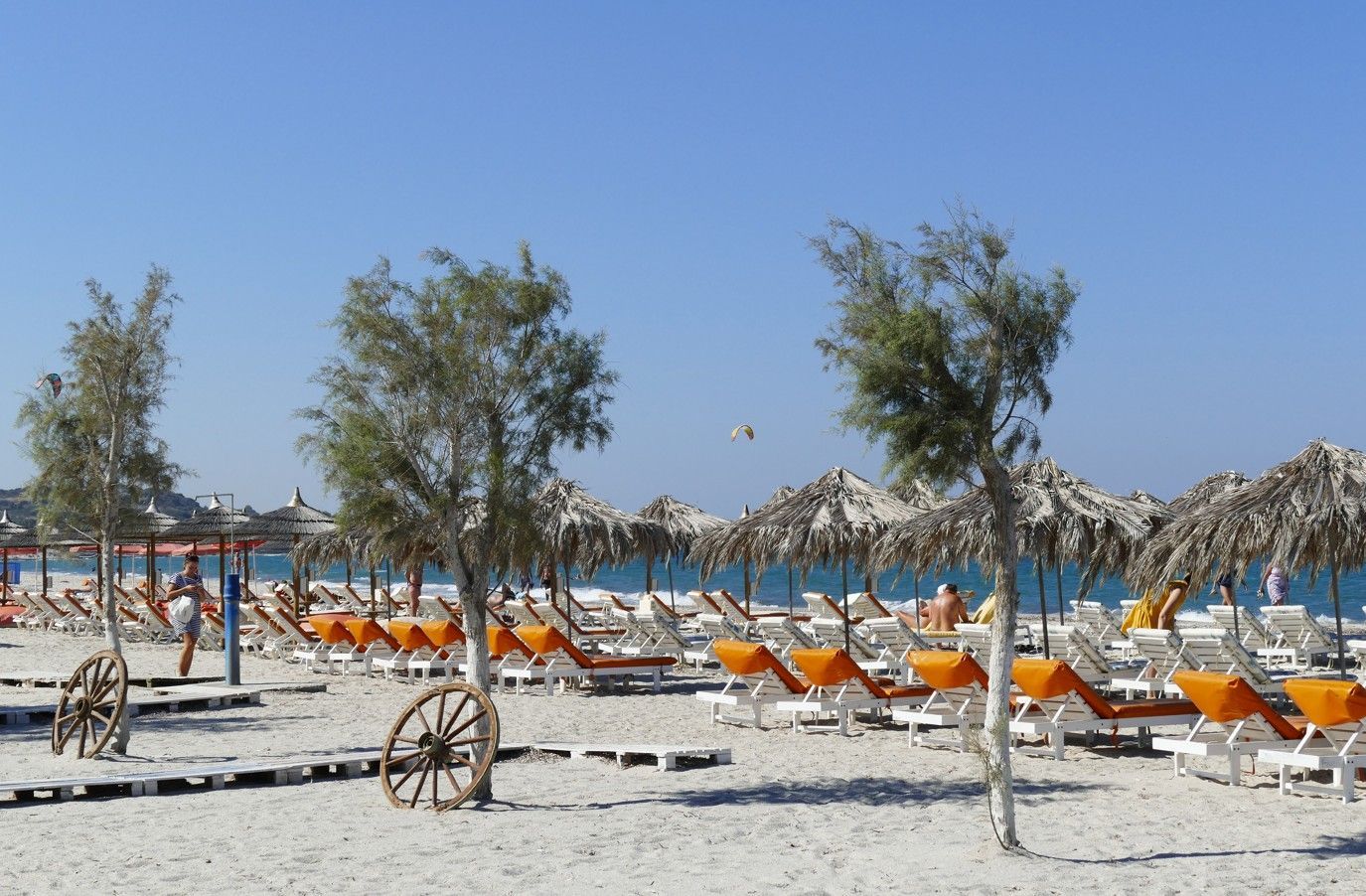 Strand met bomen, rieten parasols en oranje ligstoelen onder een helderblauwe hemel.