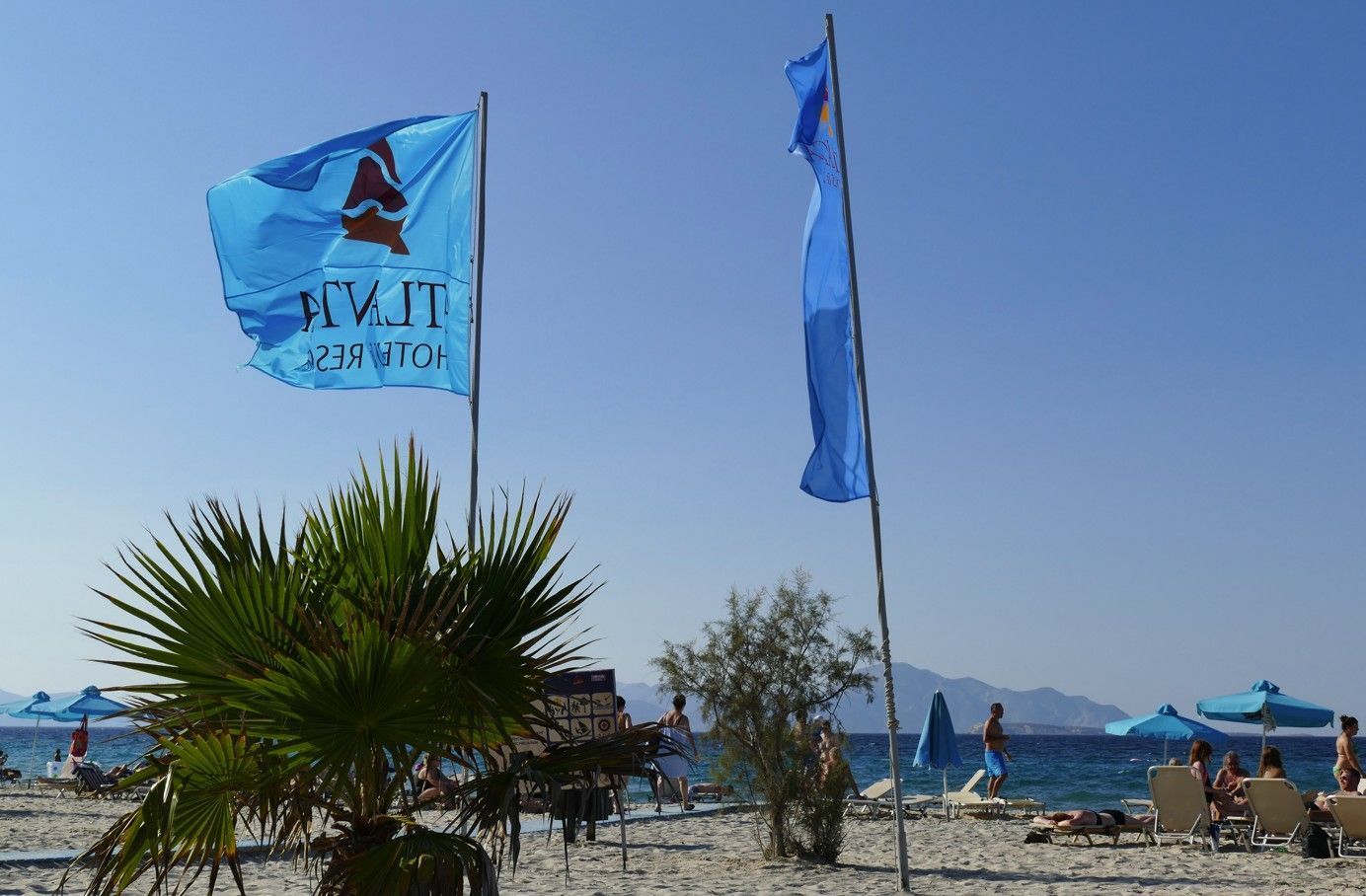 Strandtafereel met blauwe vlaggen, palmbomen en mensen die van de zon genieten.