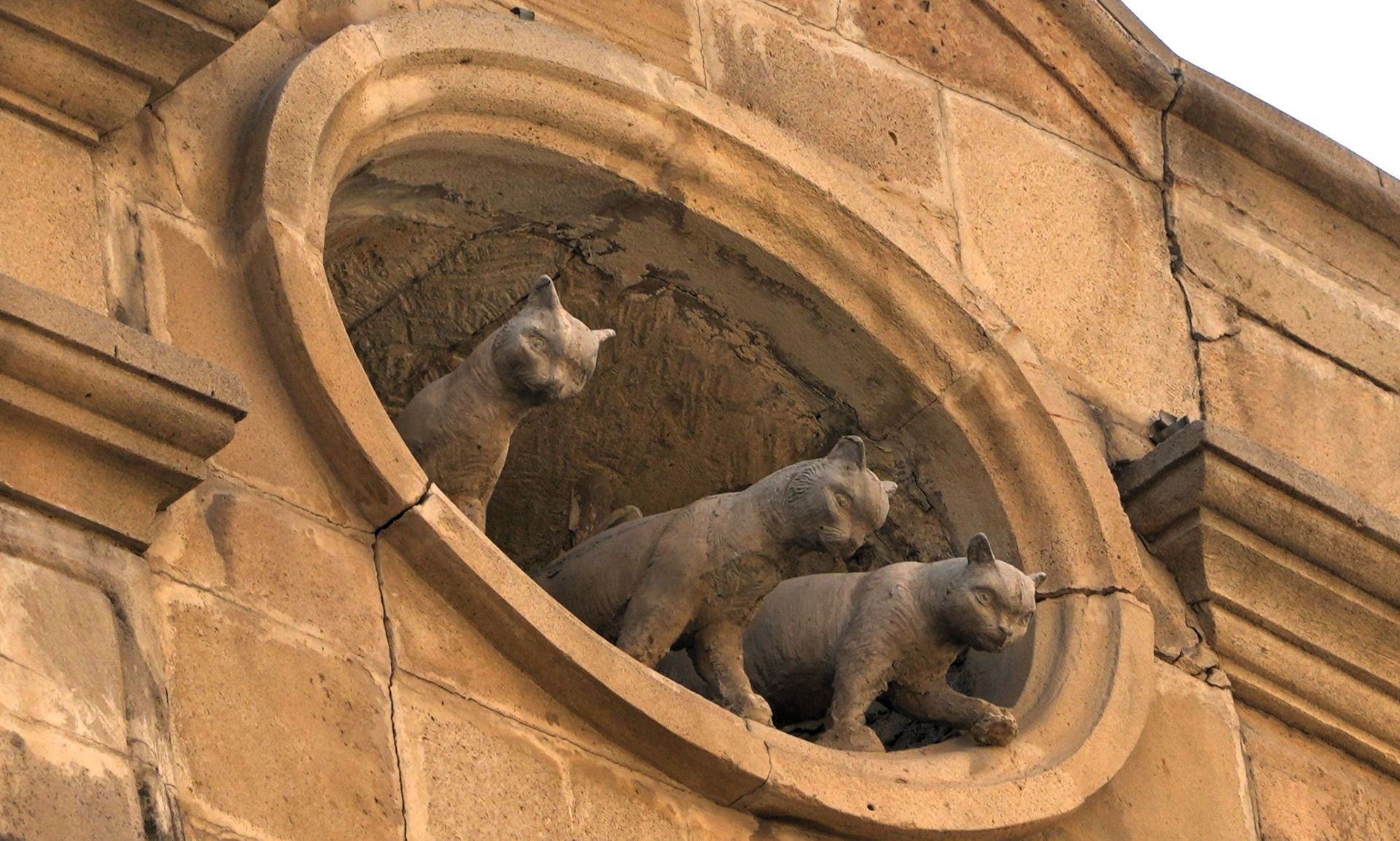 Stenen sculptuur van een kat en een hond in een ovale nis op de gevel van een gebouw.