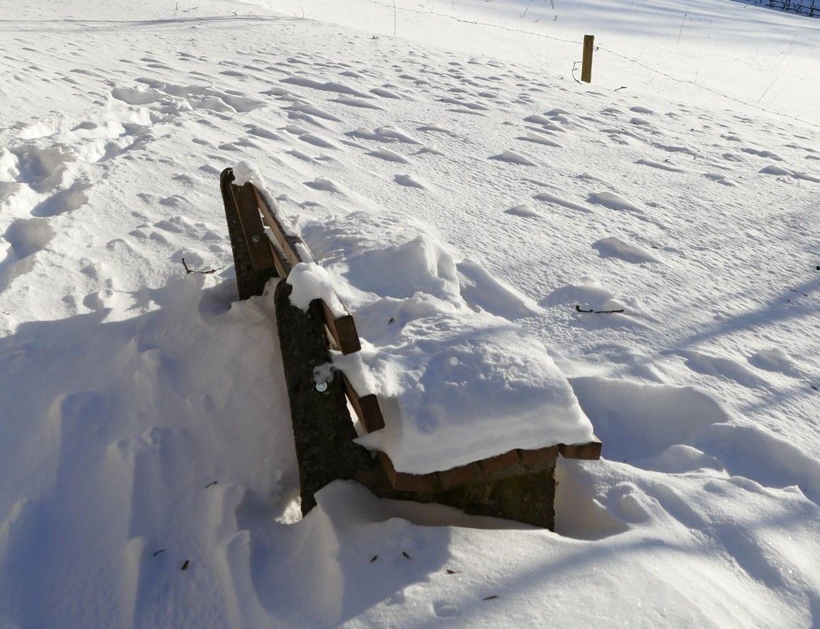 Een met sneeuw bedekte houten parkbank in een besneeuwde omgeving, met sporen in de sneeuw.